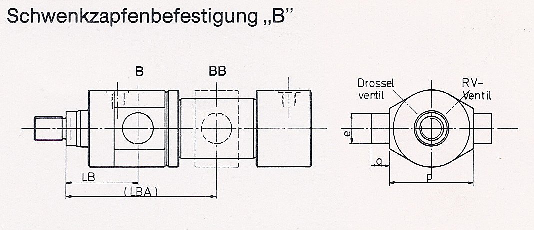 Schwenkzapfenbefestigung